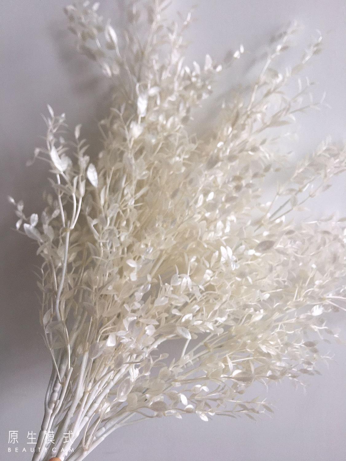 Dried Flower Bunch - 롱 스템 밤부사 밀란 잎 인조