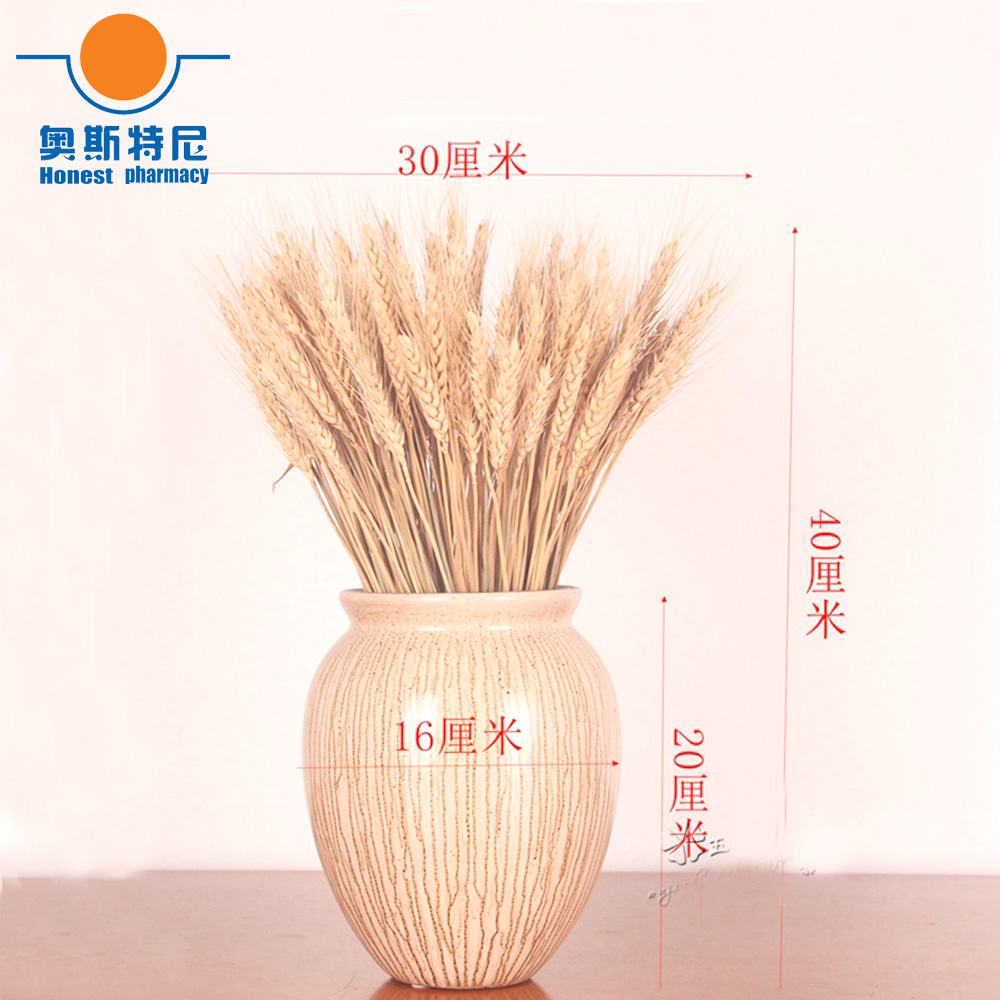 50개 천연 드라이플라워 부케, 밀 이삭 부케, 밀 이 - Dried Flower Bunch 리뷰 및 가격