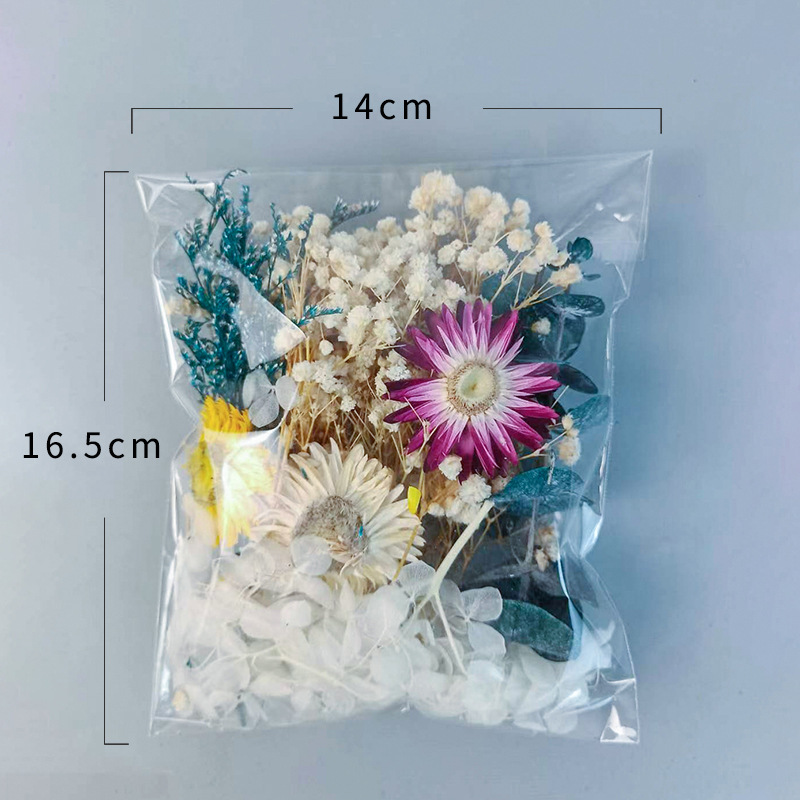 다양한 건조 꽃 세트 1팩 DIY 공예 홈 웨딩 장식  - Dried Flower Bunch 리뷰 및 가격