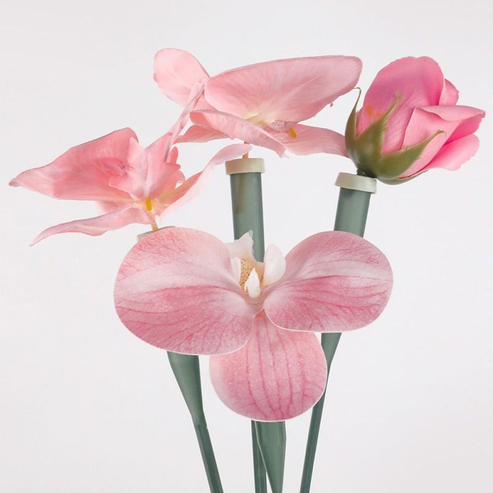 꽃 보존제 튜브 투명 플라스틱 바이알 생화 부케 물 저 - Florist Supply Shop 리뷰 및 가격