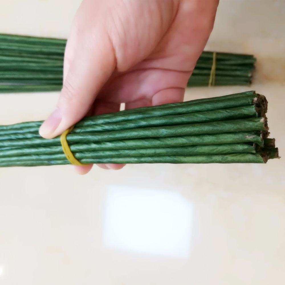 1mm 2/3/4/5mm 40/60cm 짙은 녹색 와이 - Wire Stem Florist 리뷰 및 가격